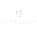 SoloTreviso